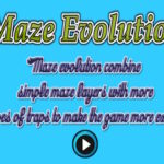 Maze Evolution